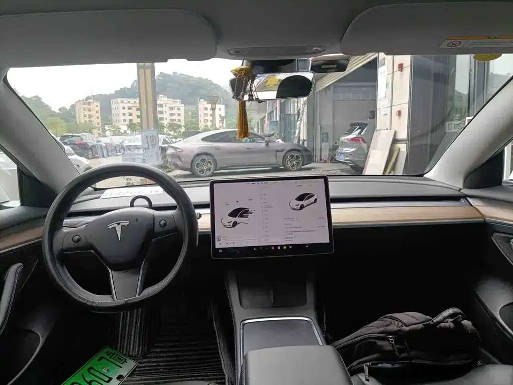 Tesla Model 3 2021 из CN, фото 3