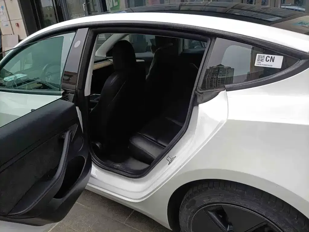 Tesla Model 3 2021 из CN, фото 7