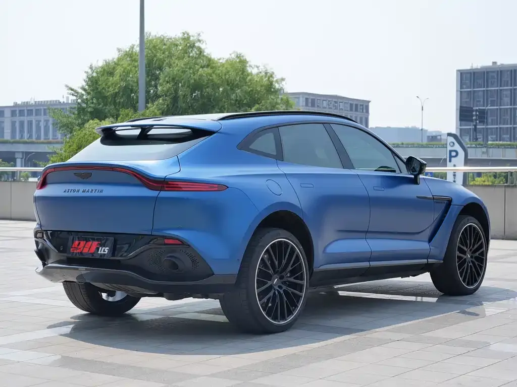 Aston Martin DBX 2022 из CN, фото 9