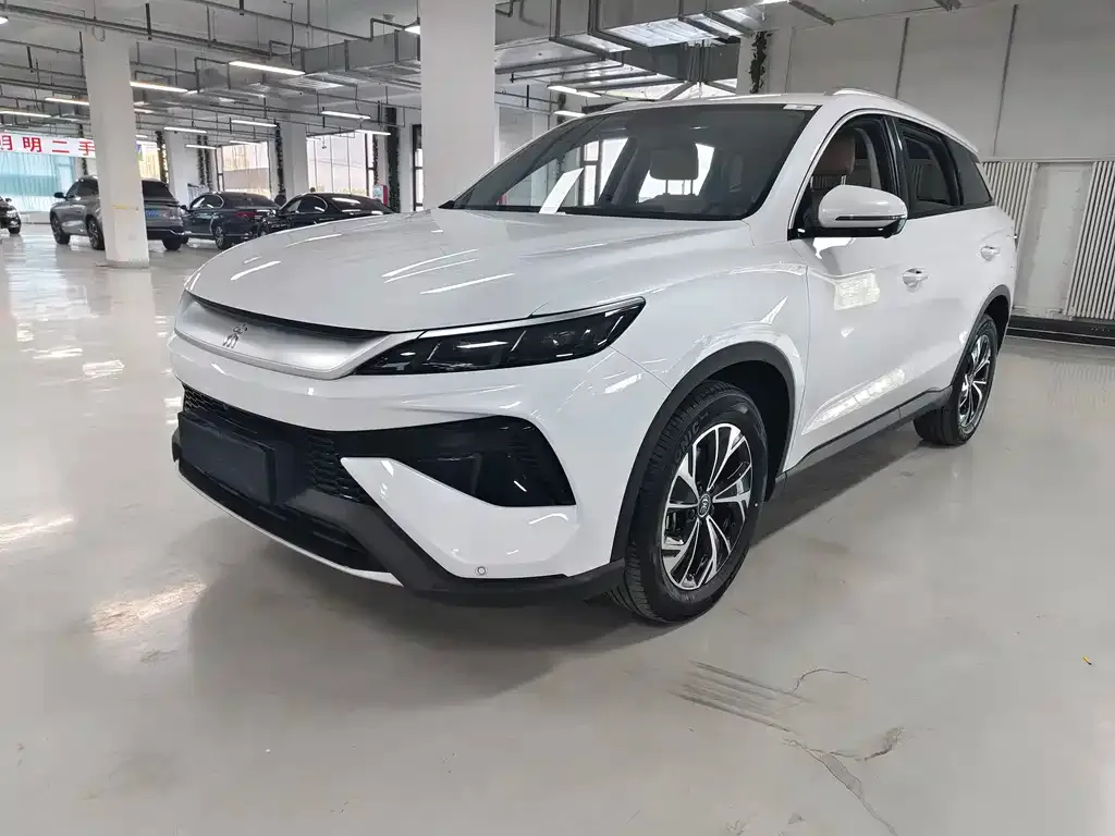 BYD Pro New Energy 2025 из CN, фото 1