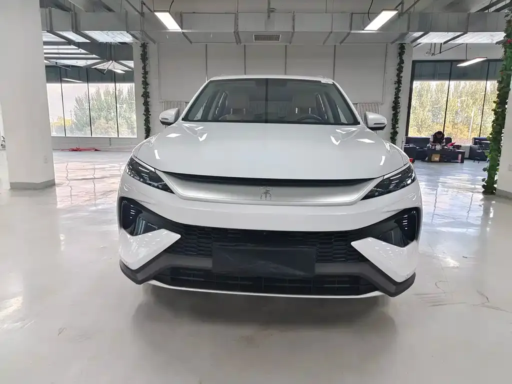 BYD Pro New Energy 2025 из CN, фото 2