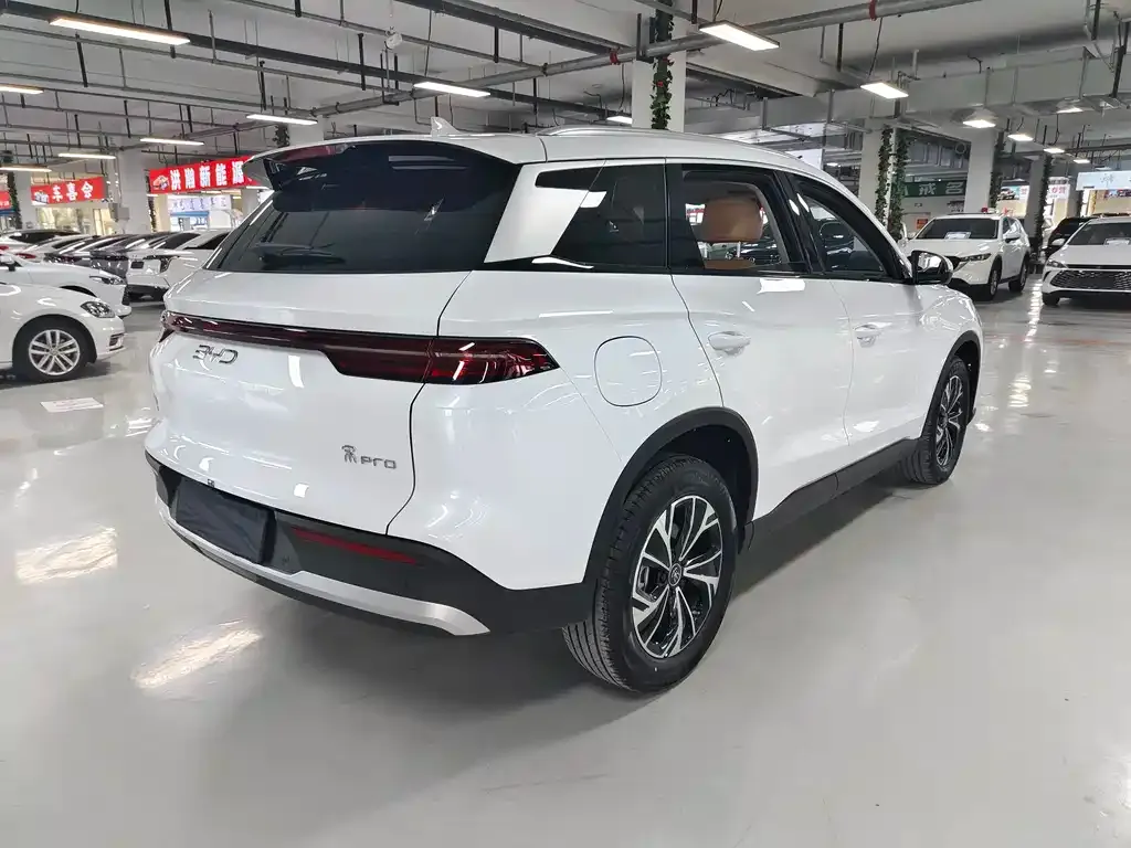 BYD Pro New Energy 2025 из CN, фото 4
