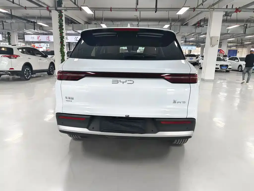 BYD Pro New Energy 2025 из CN, фото 5