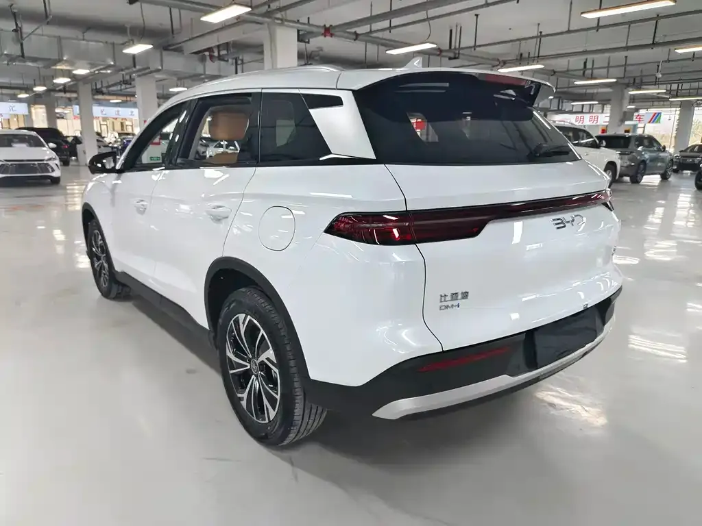 BYD Pro New Energy 2025 из CN, фото 6