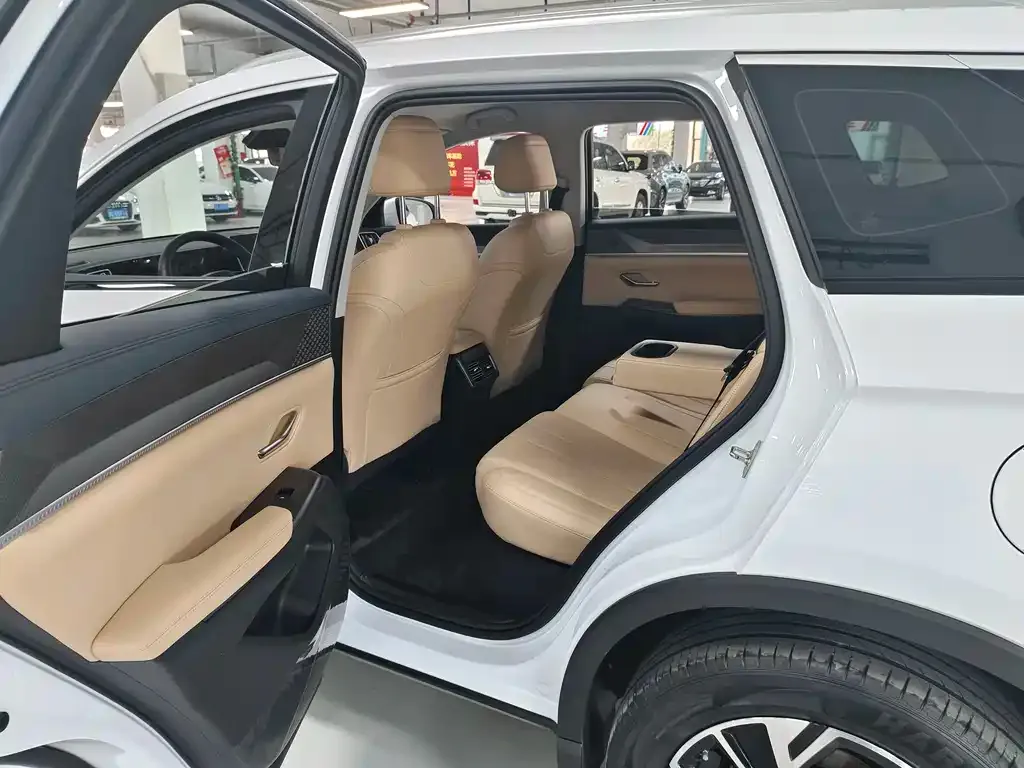 BYD Pro New Energy 2025 из CN, фото 7