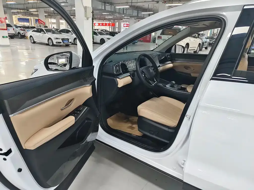 BYD Pro New Energy 2025 из CN, фото 8
