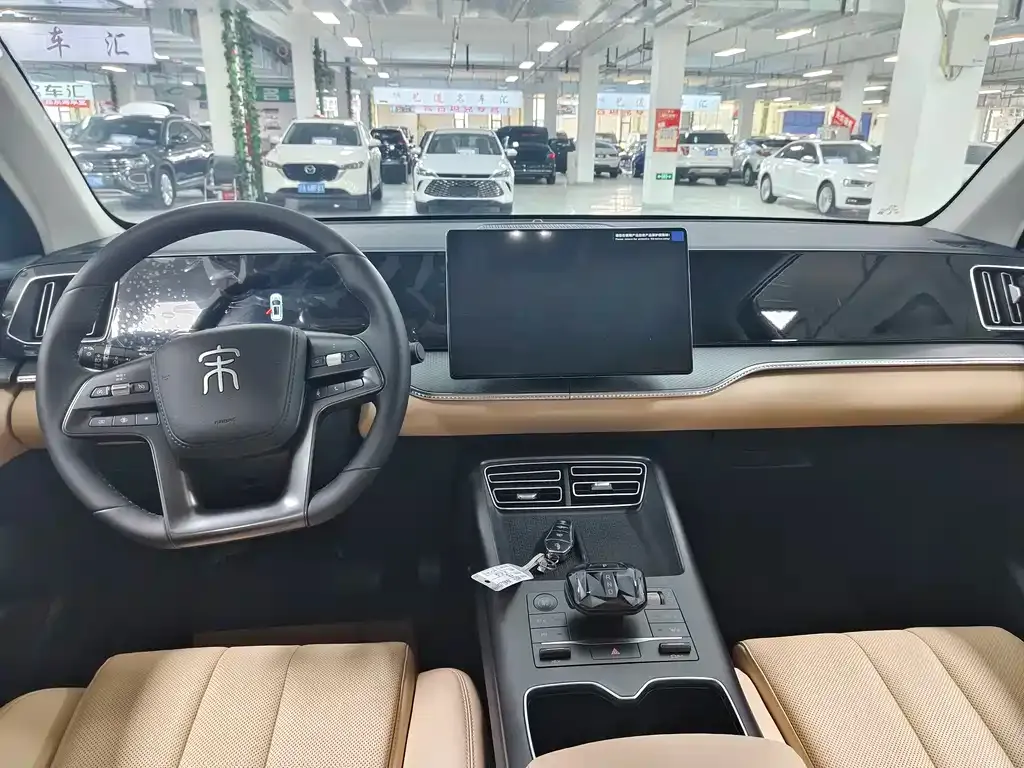 BYD Pro New Energy 2025 из CN, фото 9