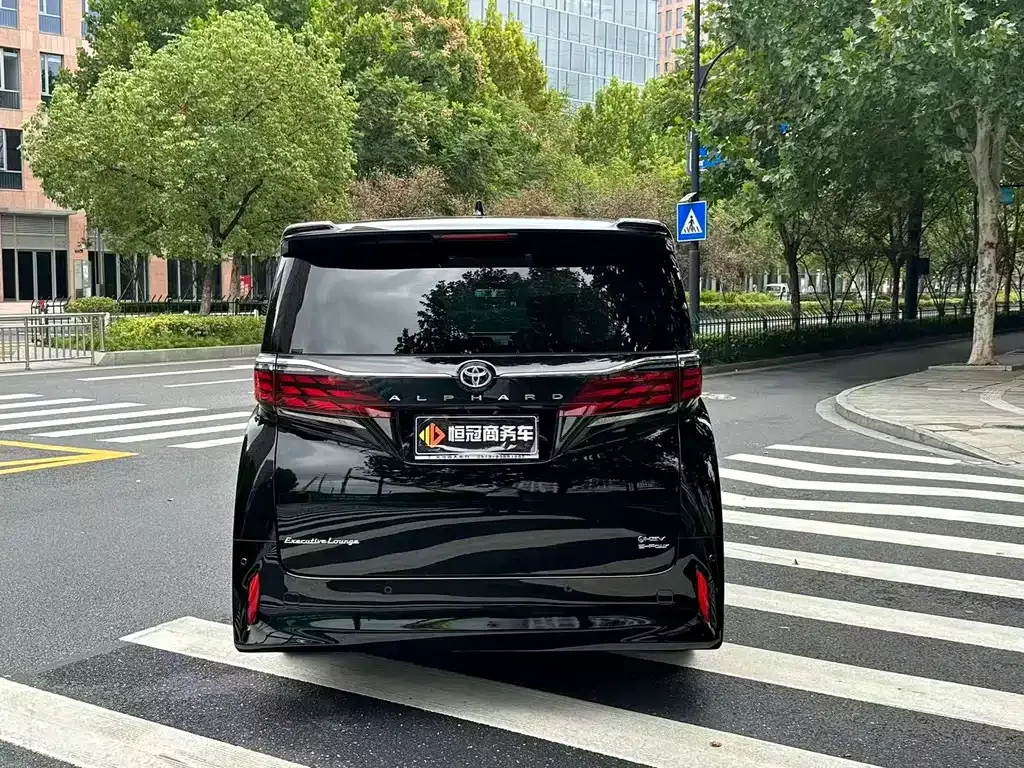 Toyota Alphard 2024 из CN, фото 6