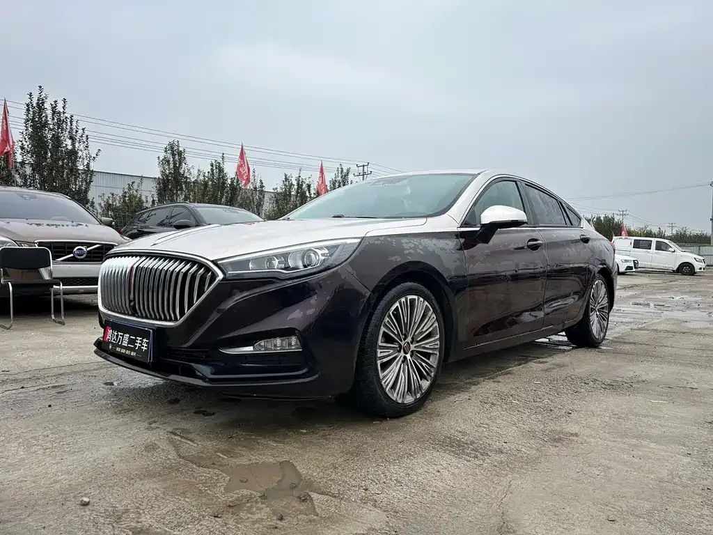 Hongqi H5 2022 из CN, фото 1