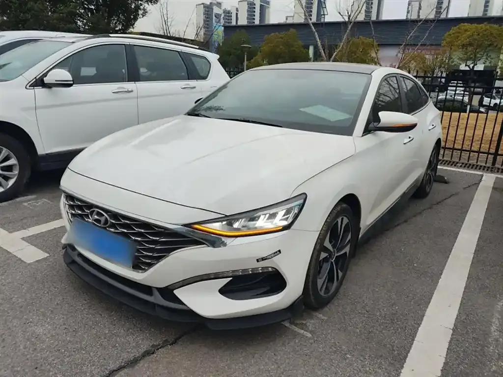 Hyundai Fista — фото 1