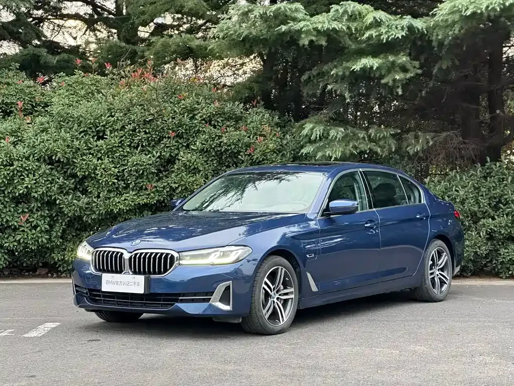 BMW 5 Series New Energy — фото 1
