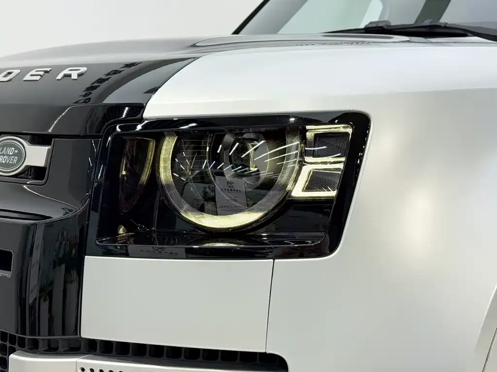 Land Rover Defender 2022 из CN, фото 6