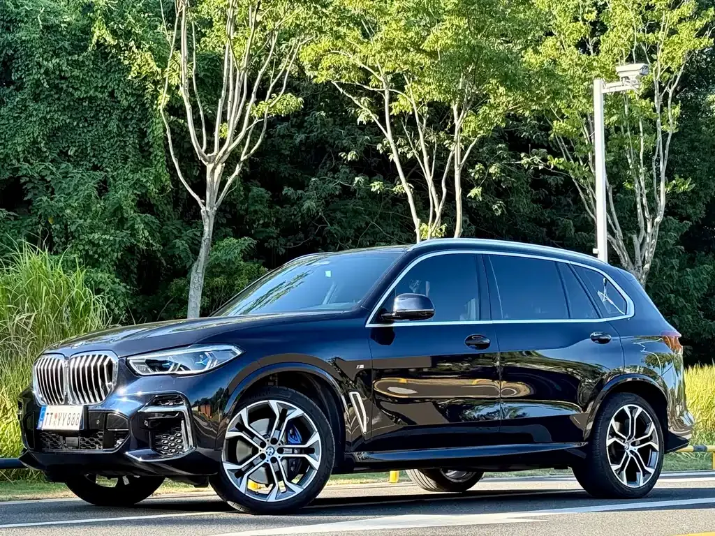 BMW X5 2022 из CN, фото 1