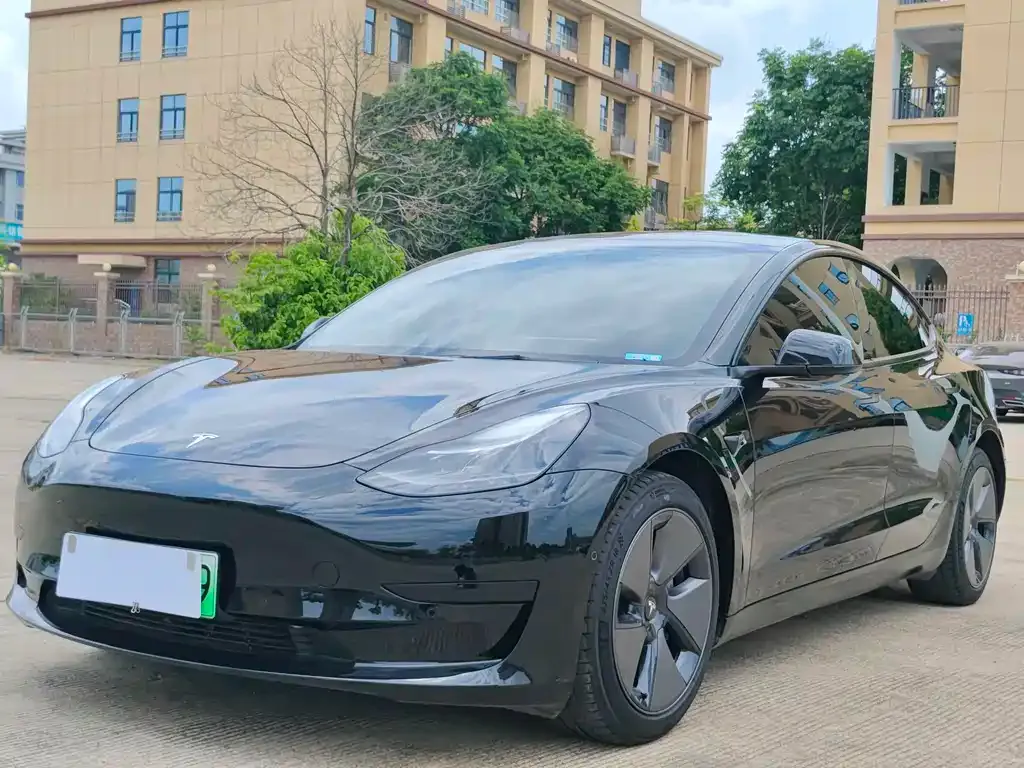 Tesla Model 3 2021 из CN, фото 1
