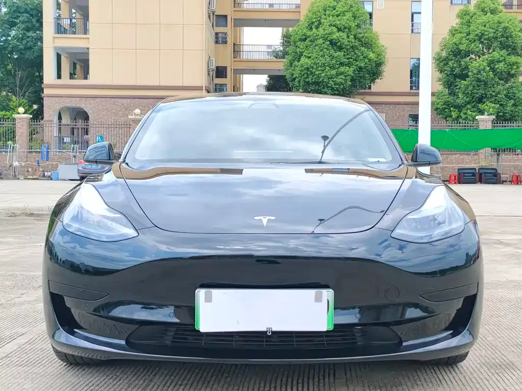 Tesla Model 3 2021 из CN, фото 2