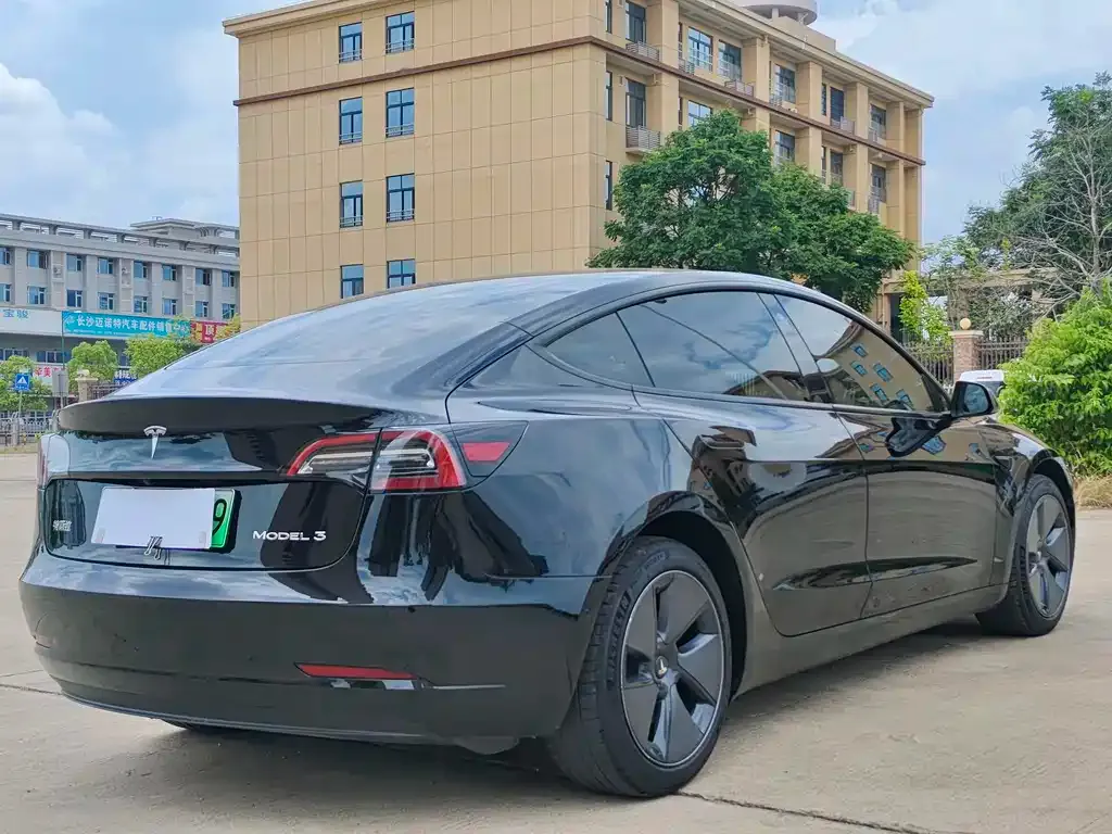 Tesla Model 3 2021 из CN, фото 4