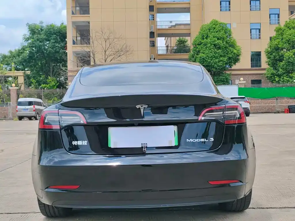 Tesla Model 3 2021 из CN, фото 5