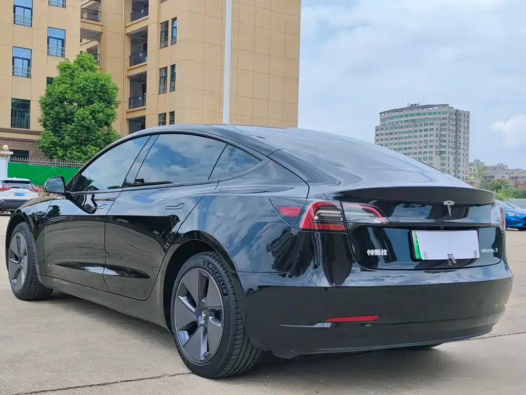 Tesla Model 3 2021 из CN, фото 6