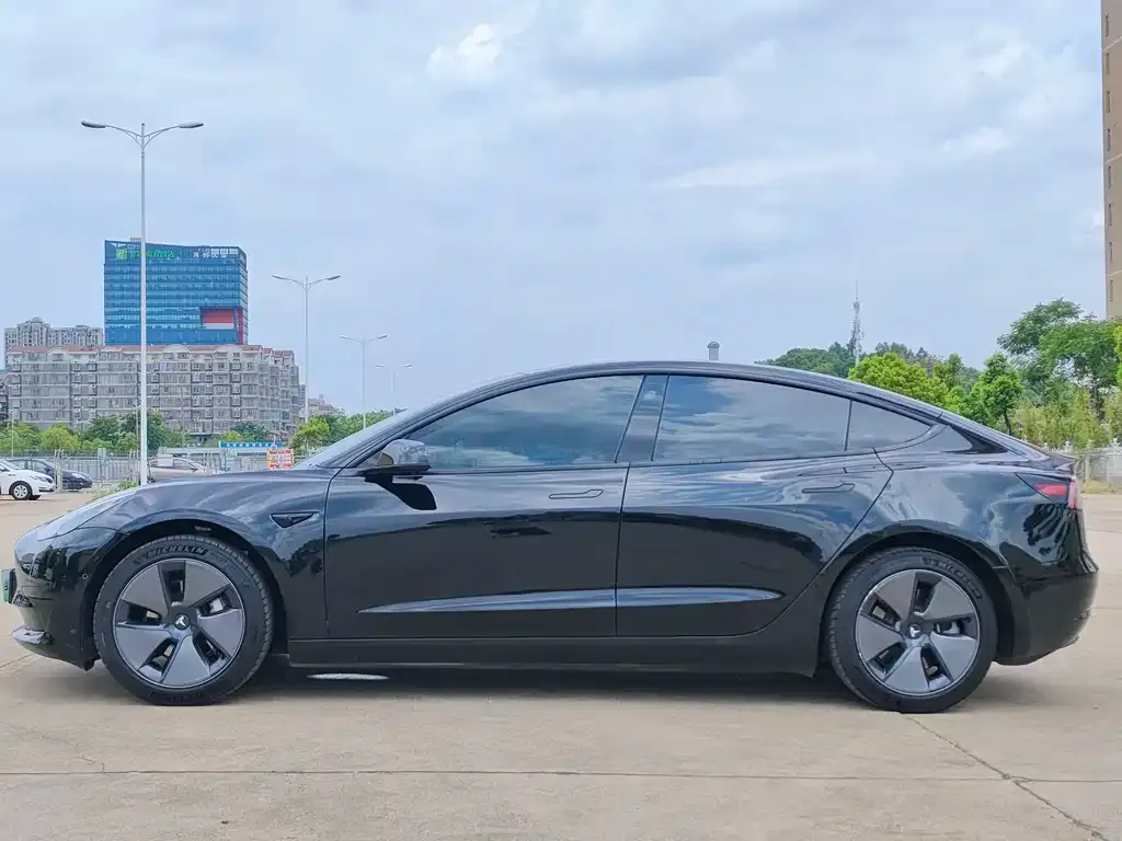 Tesla Model 3 2021 из CN, фото 7