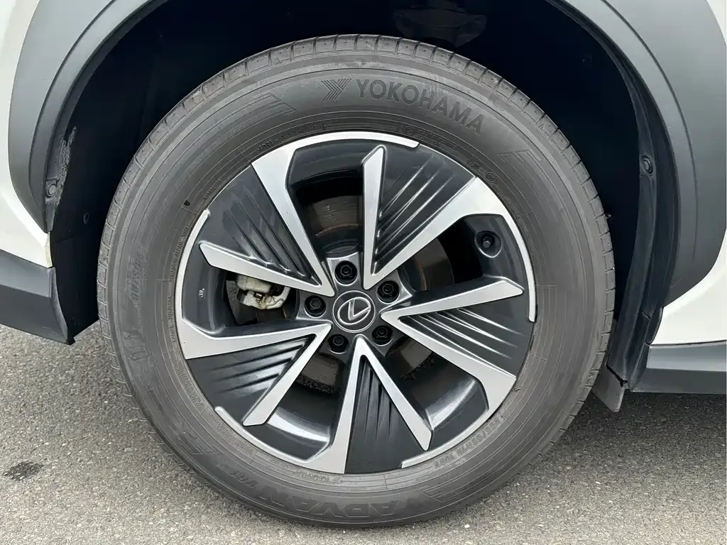 Lexus RZ — фото 8