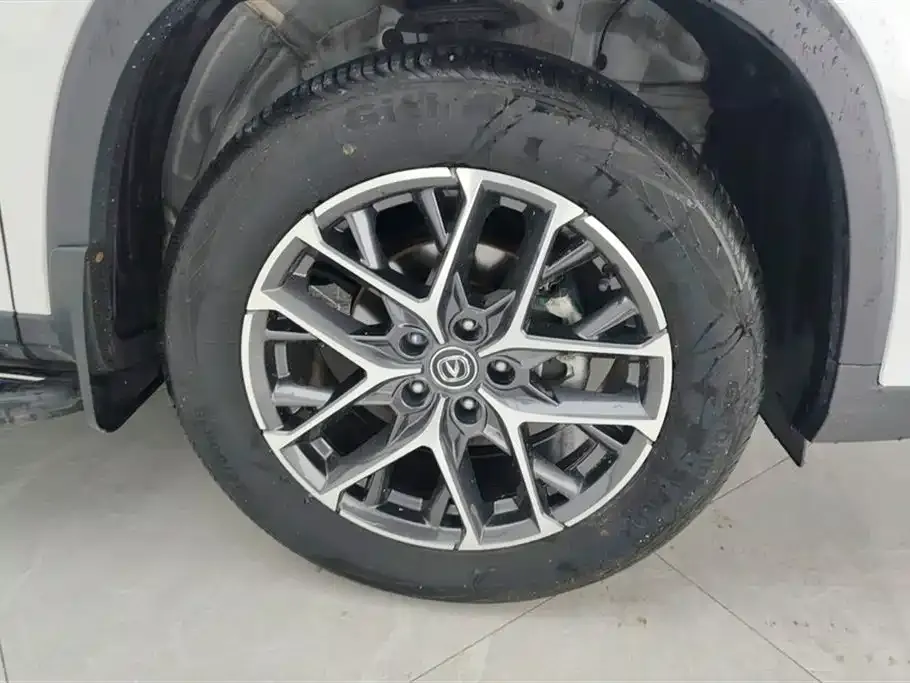 Changan CS75 PLUS 2023 из CN, фото 6