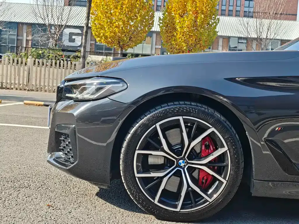 BMW 5 Series (Import) 2021 из CN, фото 5