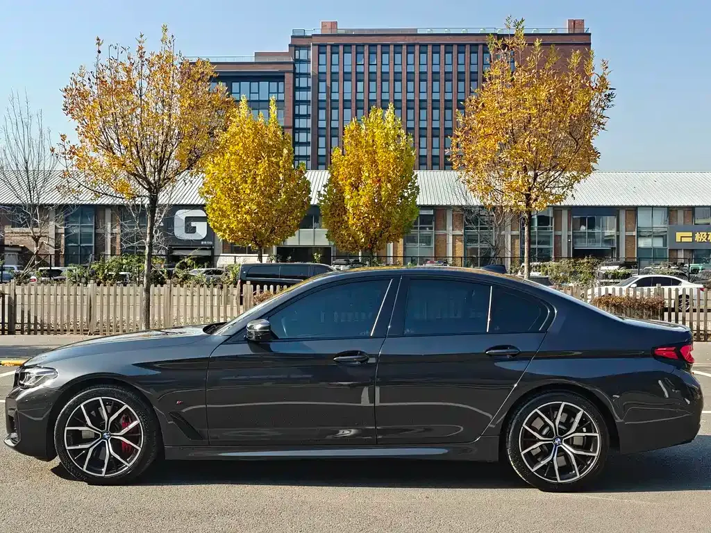 BMW 5 Series (Import) 2021 из CN, фото 6