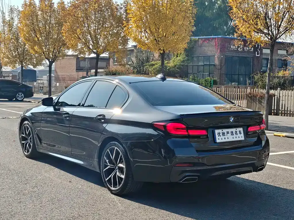 BMW 5 Series (Import) 2021 из CN, фото 9