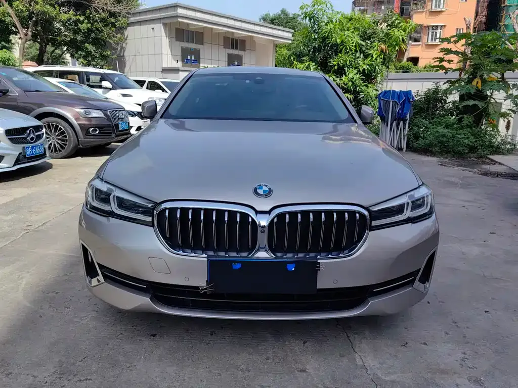 BMW 5 Series 2022 из CN, фото 2