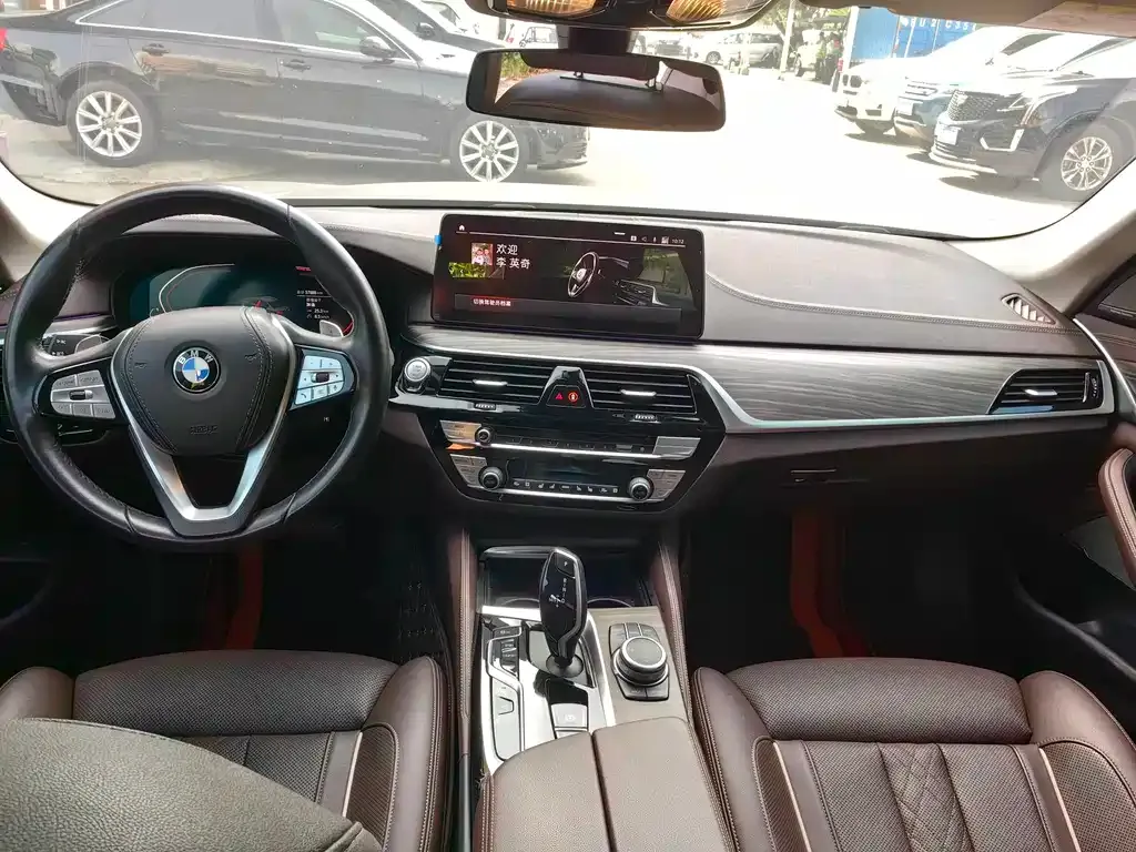 BMW 5 Series 2022 из CN, фото 6