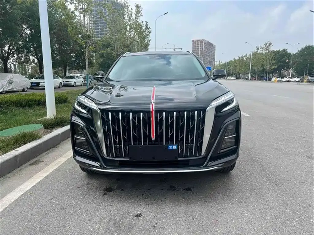 Hongqi HS3 2025 из CN, фото 10