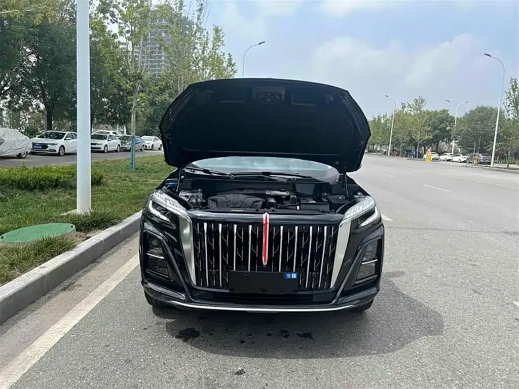 Hongqi HS3 2025 из CN, фото 9