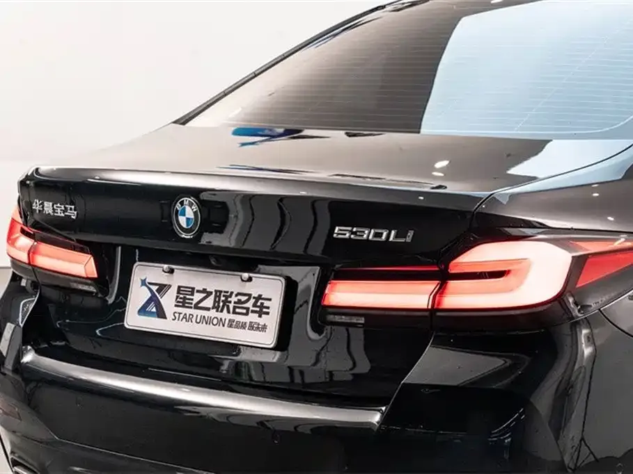 BMW 5 Series 2023 из CN, фото 9