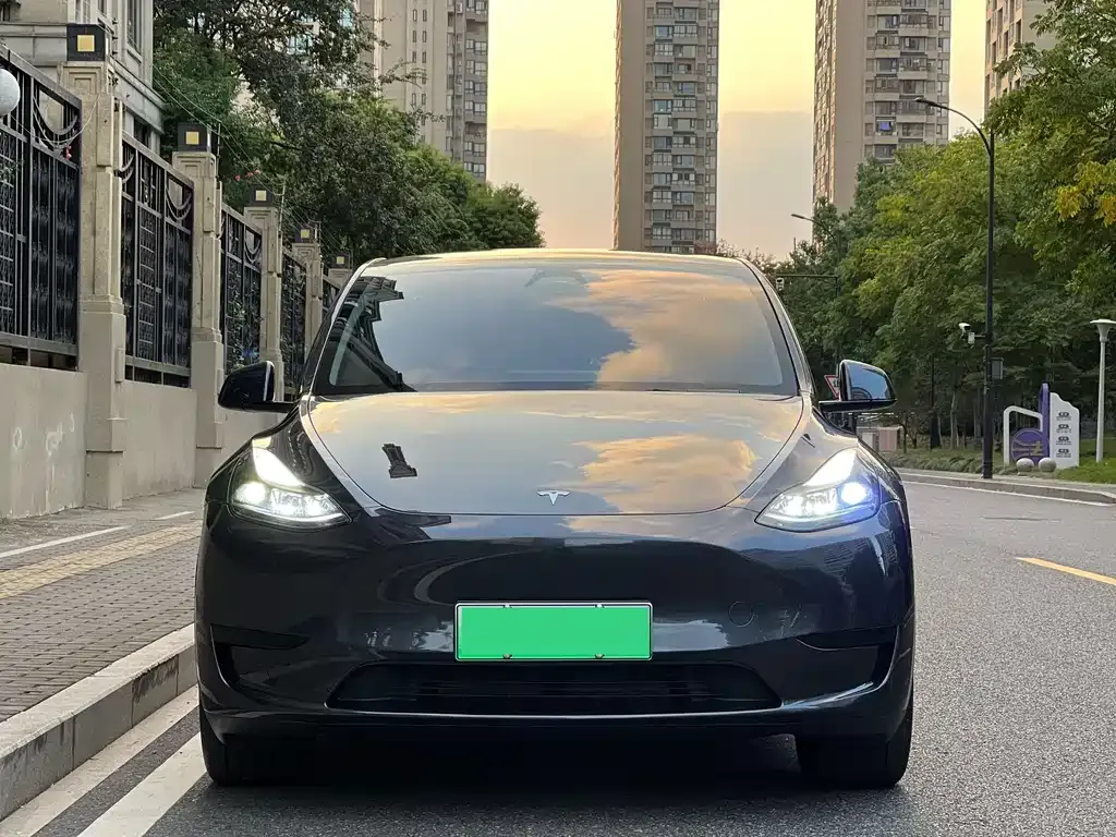 Tesla Model Y 2024 из CN, фото 2