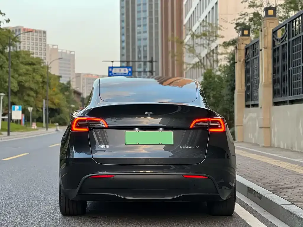 Tesla Model Y 2024 из CN, фото 5
