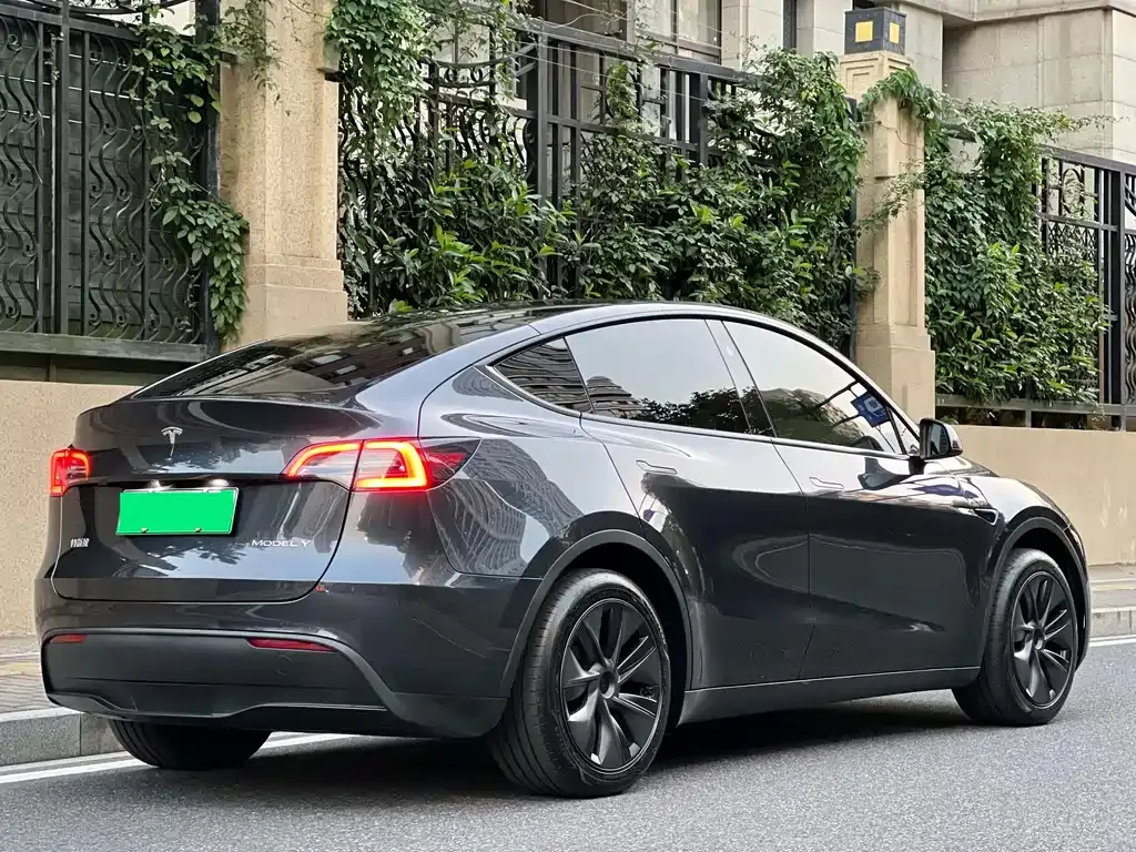 Tesla Model Y 2024 из CN, фото 6