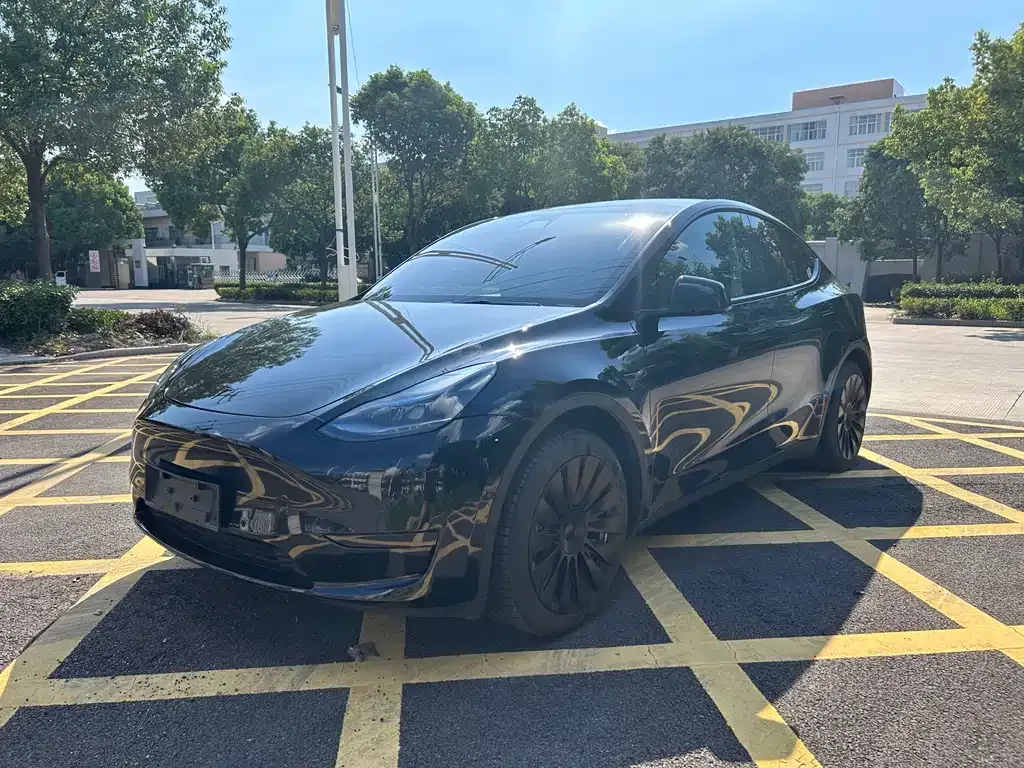 Tesla Model Y 2022 из CN, фото 1