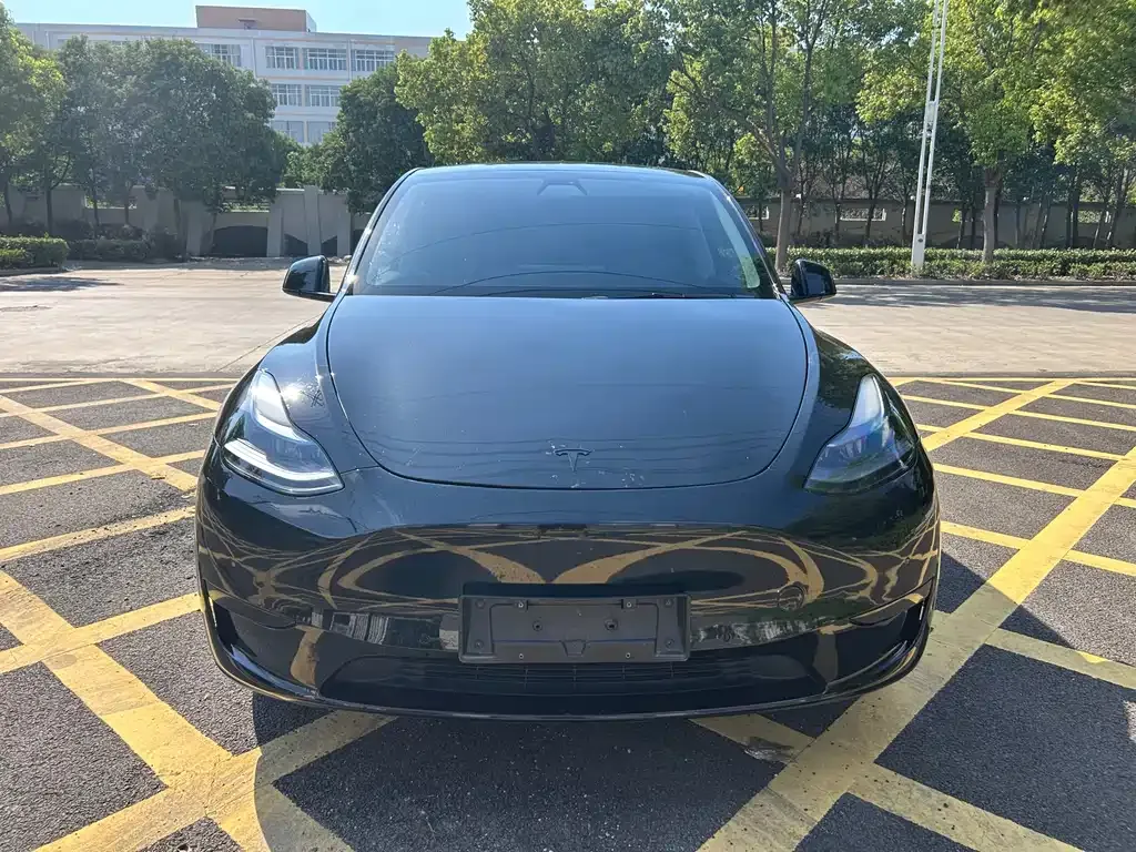 Tesla Model Y 2022 из CN, фото 2