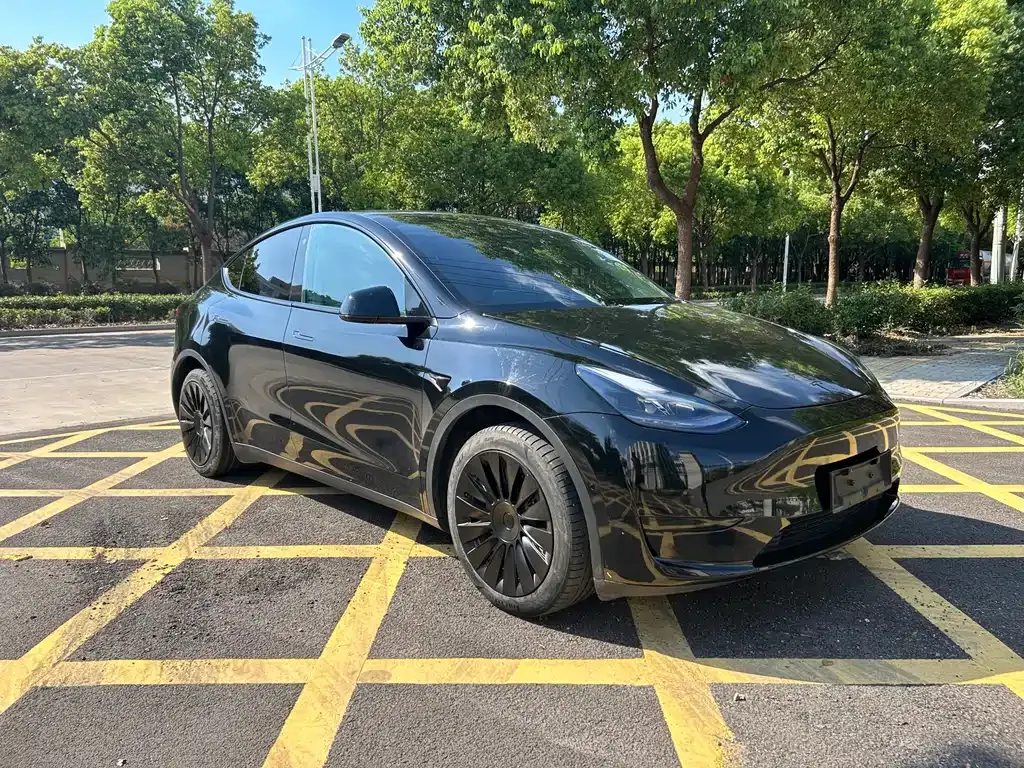 Tesla Model Y 2022 из CN, фото 3