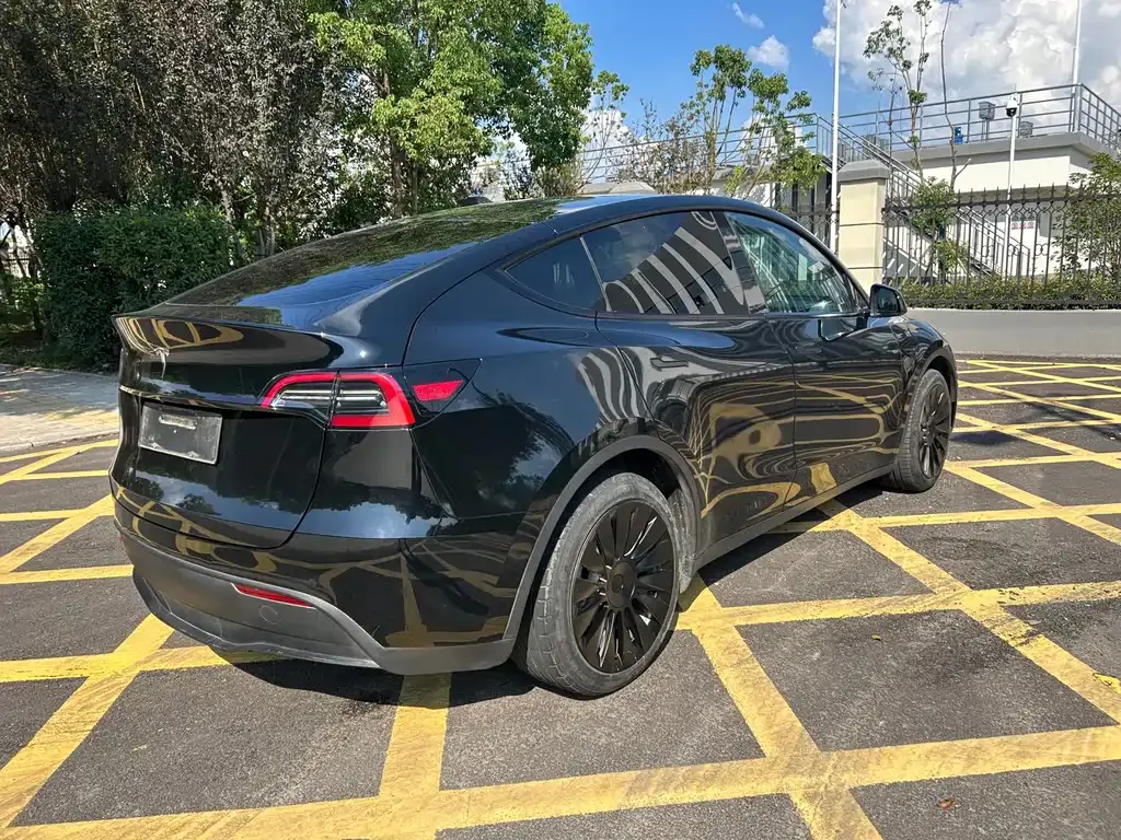 Tesla Model Y 2022 из CN, фото 6