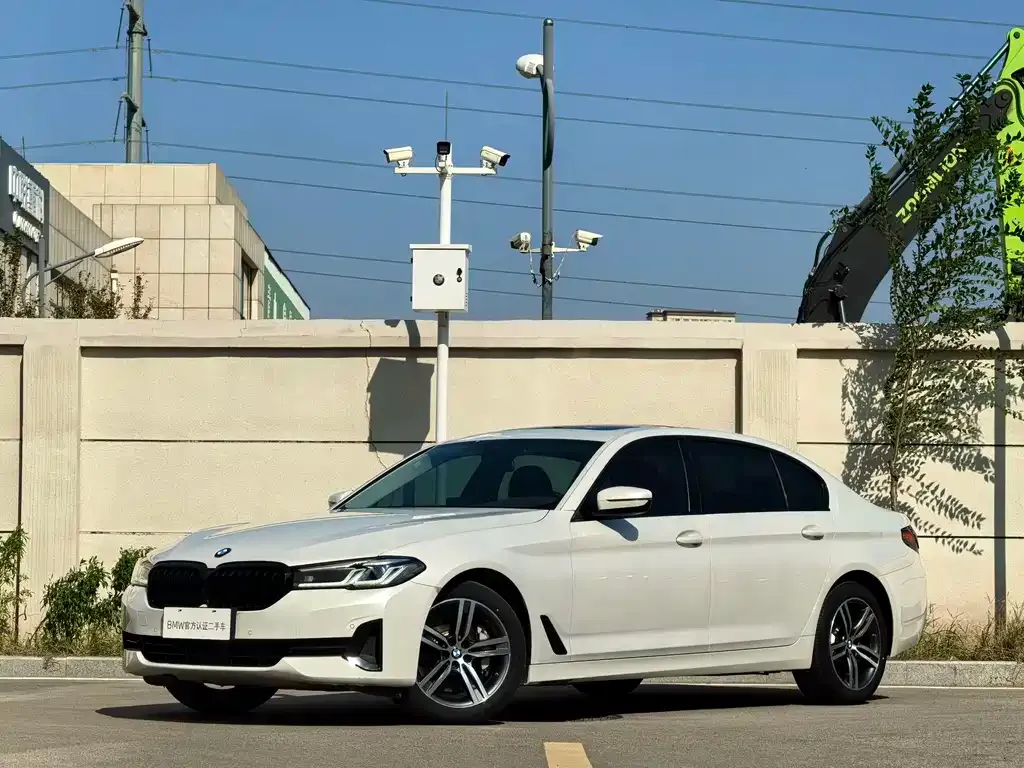 BMW 5 Series 2021 из CN, фото 1