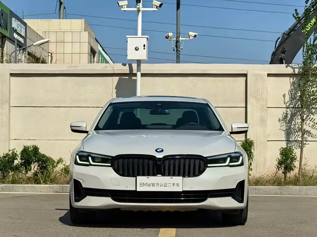 BMW 5 Series 2021 из CN, фото 2