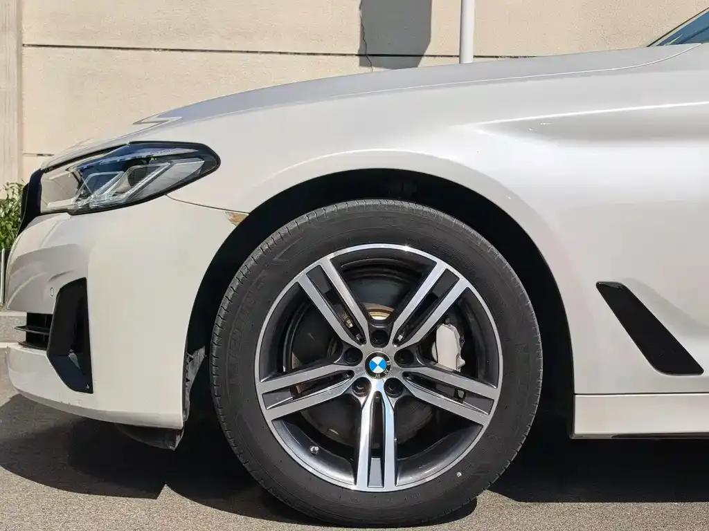 BMW 5 Series 2021 из CN, фото 4