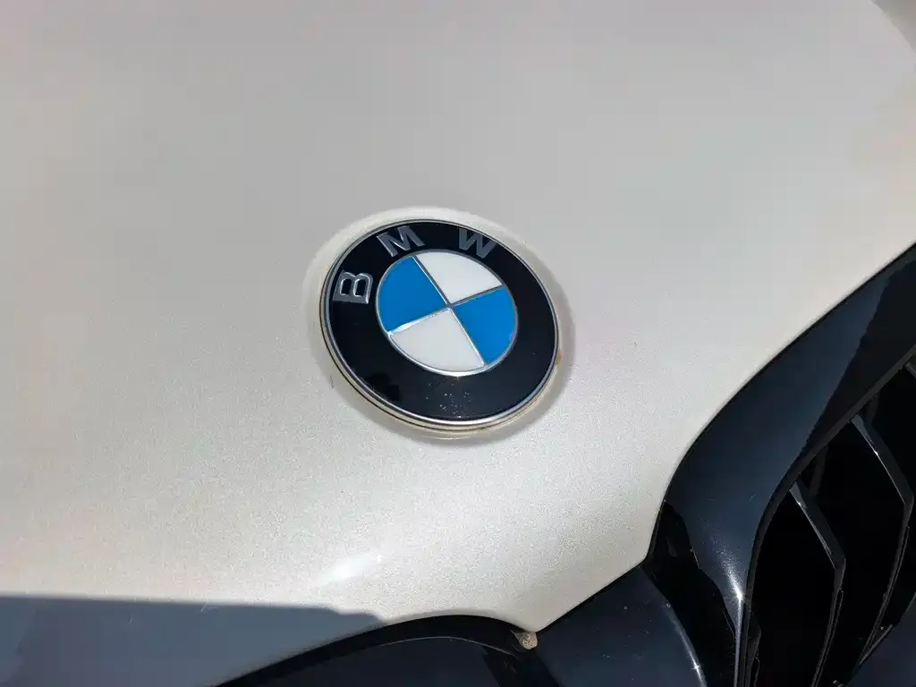 BMW 5 Series 2021 из CN, фото 5