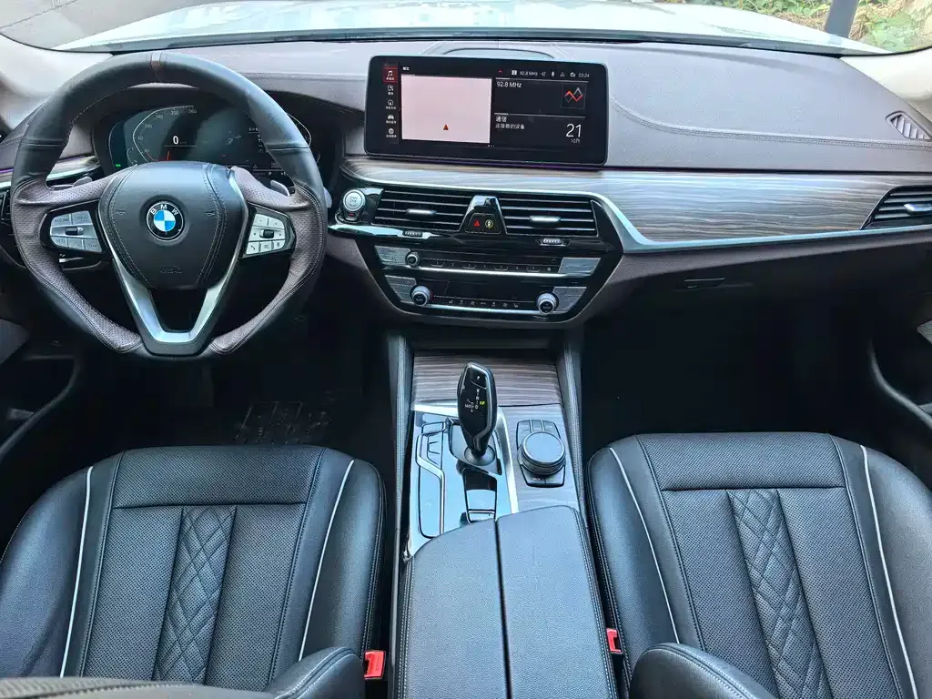 BMW 5 Series 2021 из CN, фото 6