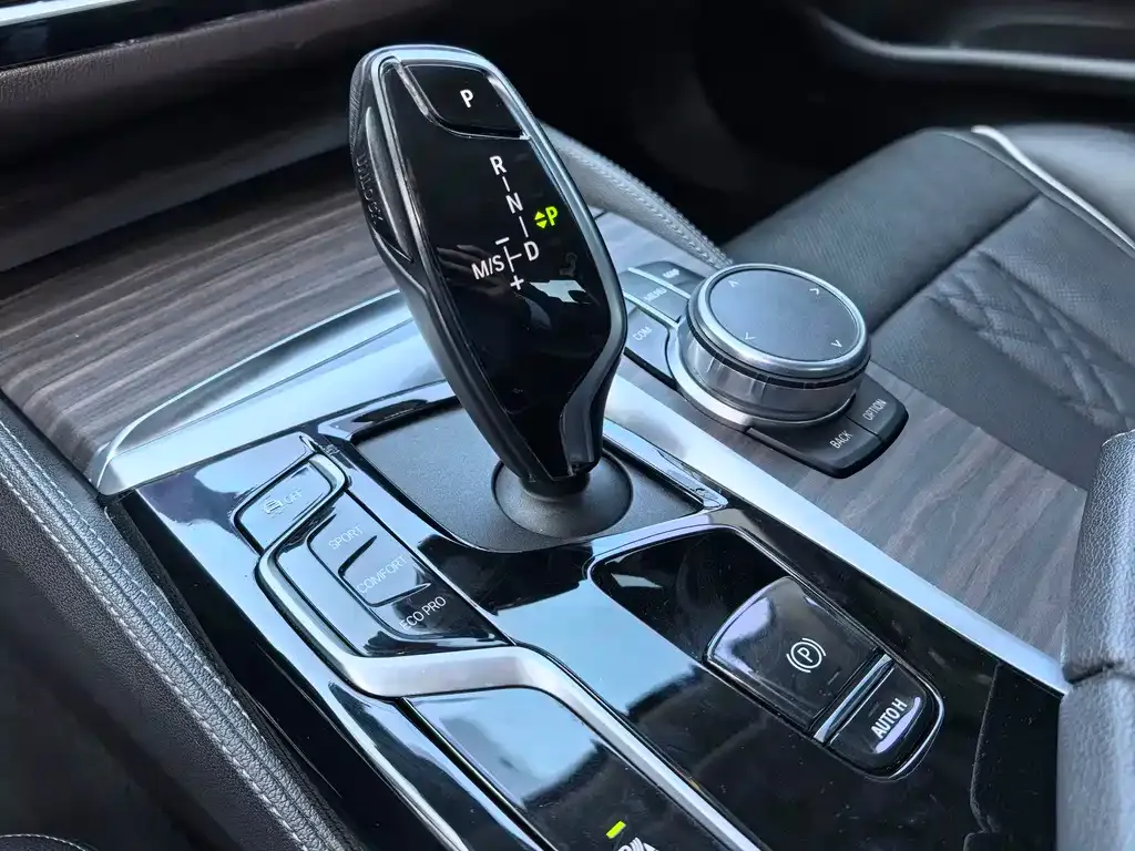 BMW 5 Series 2021 из CN, фото 7