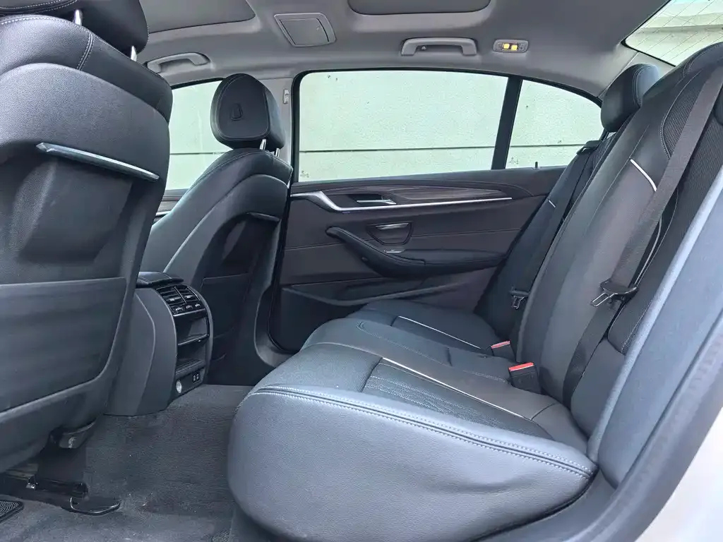 BMW 5 Series 2021 из CN, фото 8