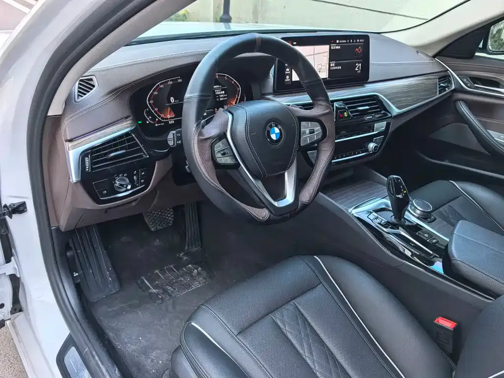 BMW 5 Series 2021 из CN, фото 9