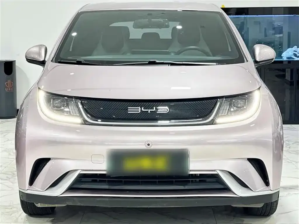 BYD Dolphin 2023 из CN, фото 10