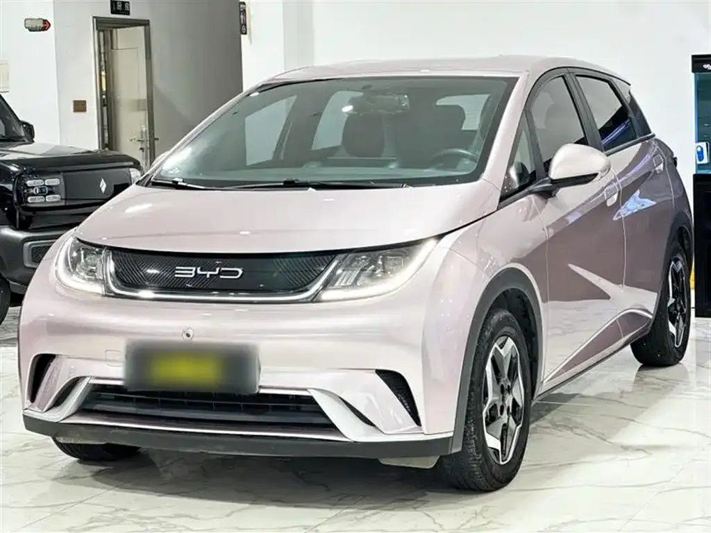BYD Dolphin 2023 из CN, фото 2